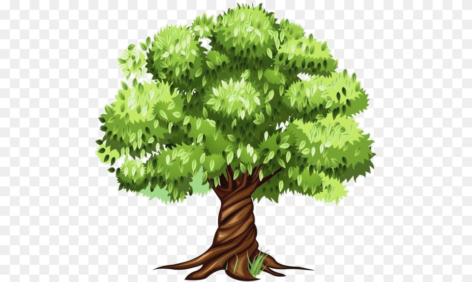 Tree Clipart, Plant, Potted Plant, Oak, Sycamore Free Png Download