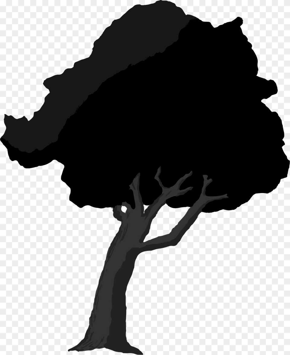 Tree Clipart, Silhouette, Plant, Adult, Female Png