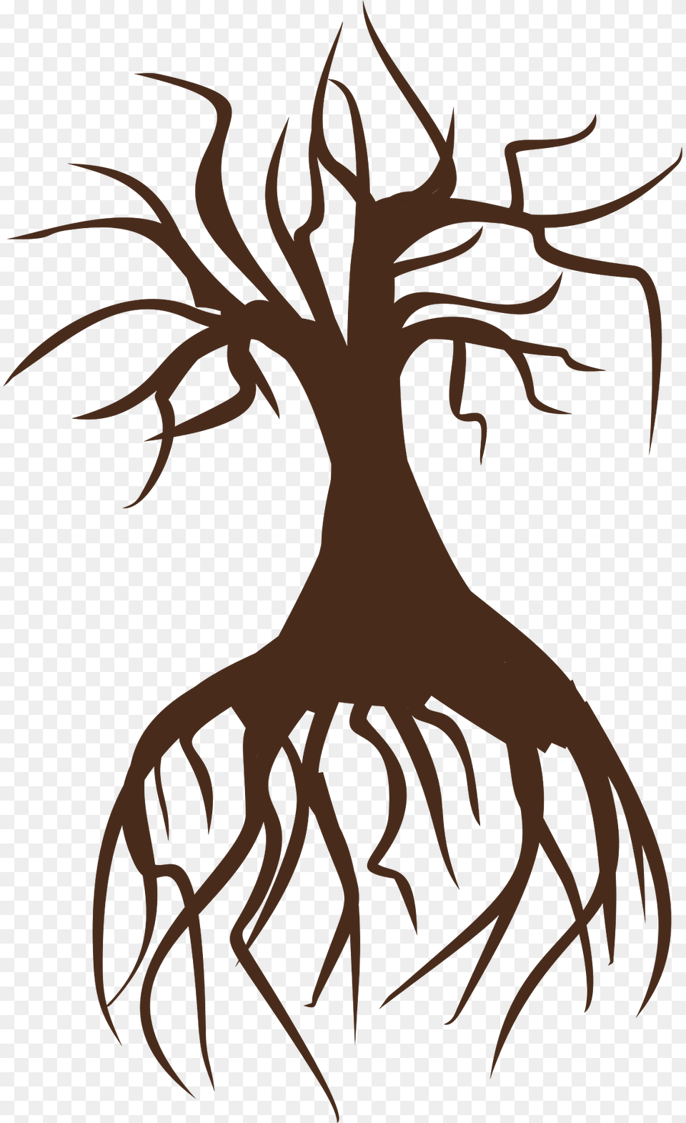Tree Clipart, Plant, Root Free Png