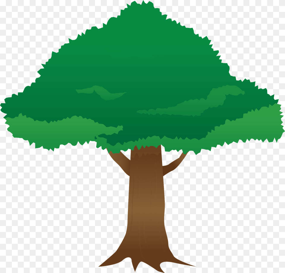 Tree Clipart, Plant, Vegetation, Land, Nature Png Image