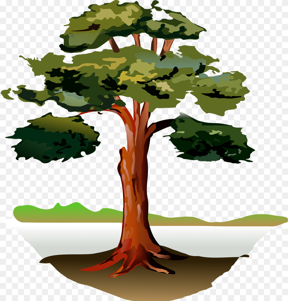 Tree Clipart, Plant, Tree Trunk, Vegetation, Art Free Png