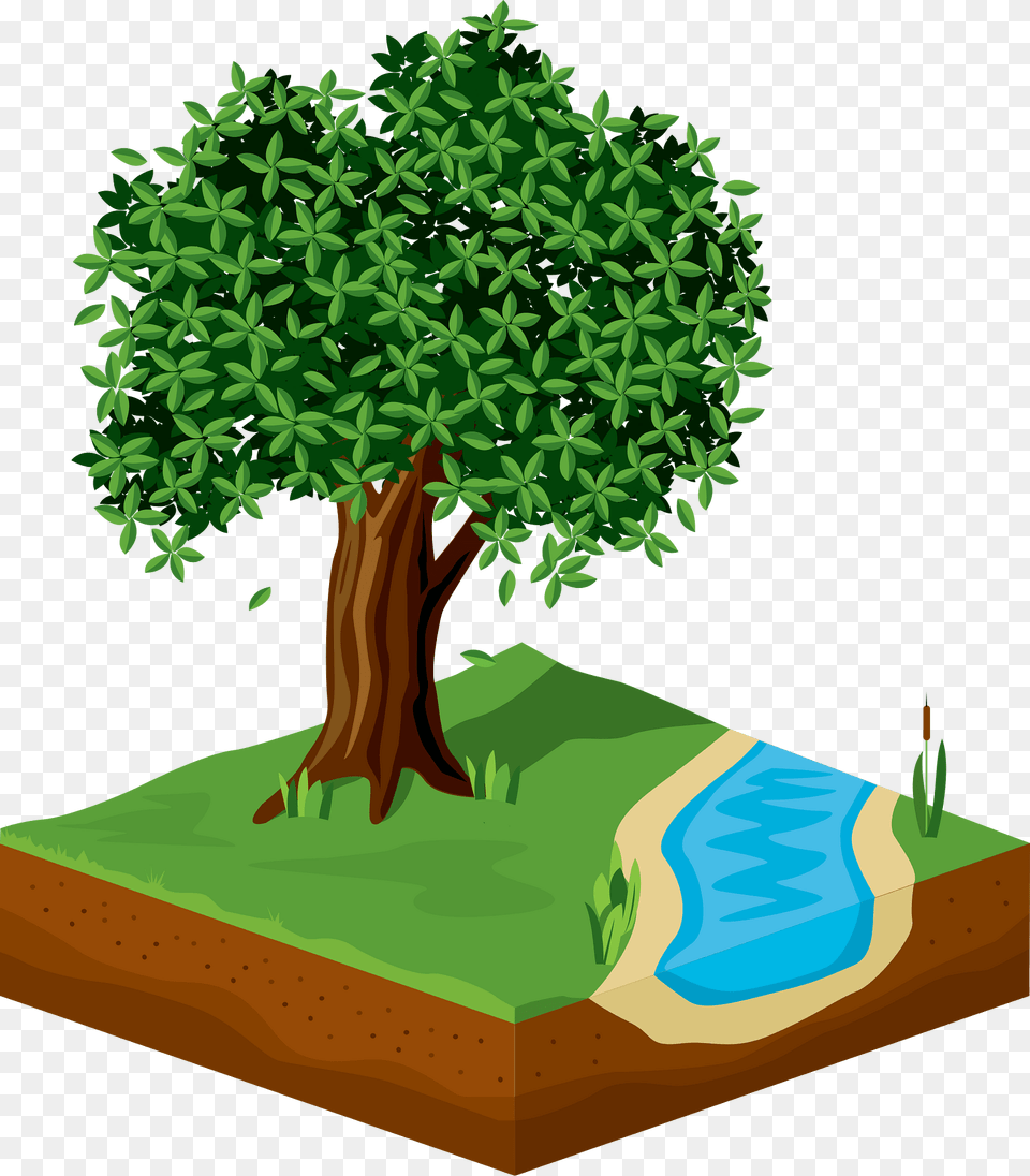 Tree Clipart, Plant, Green, Vegetation, Potted Plant Png Image