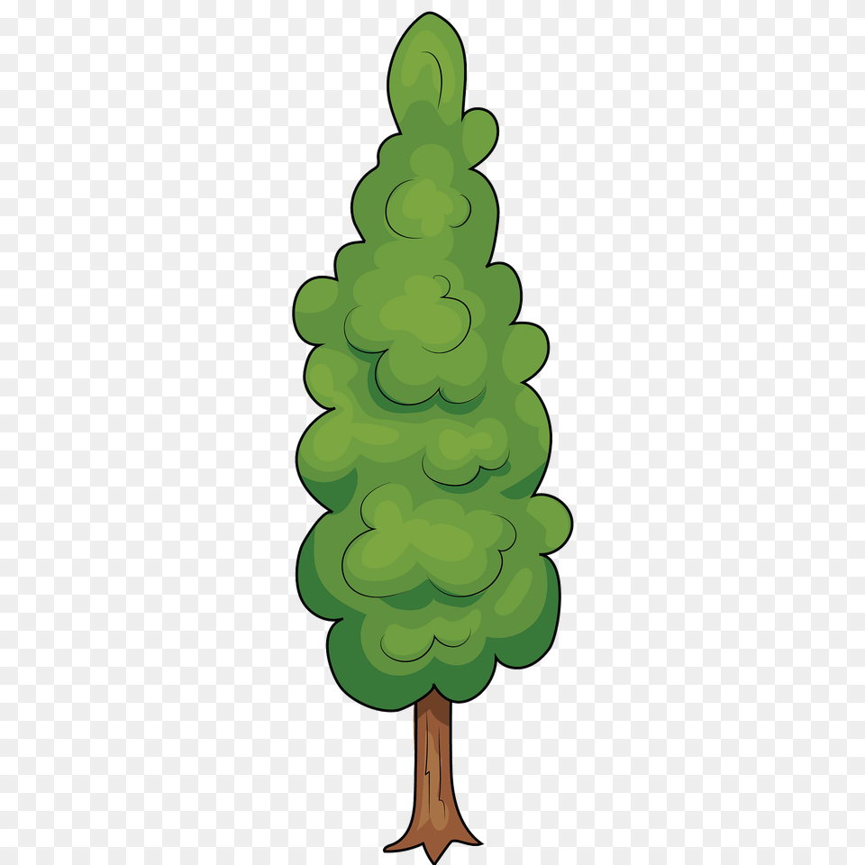 Tree Clipart, Conifer, Pine, Plant, Food Png Image