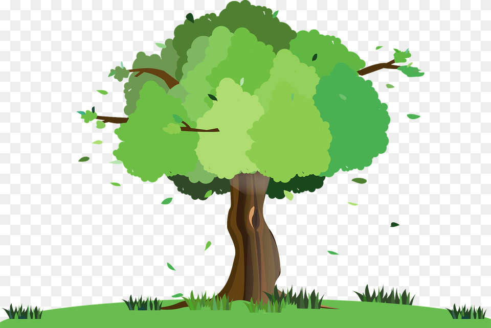 Tree Clipart, Plant, Vegetation, Land, Nature Free Transparent Png