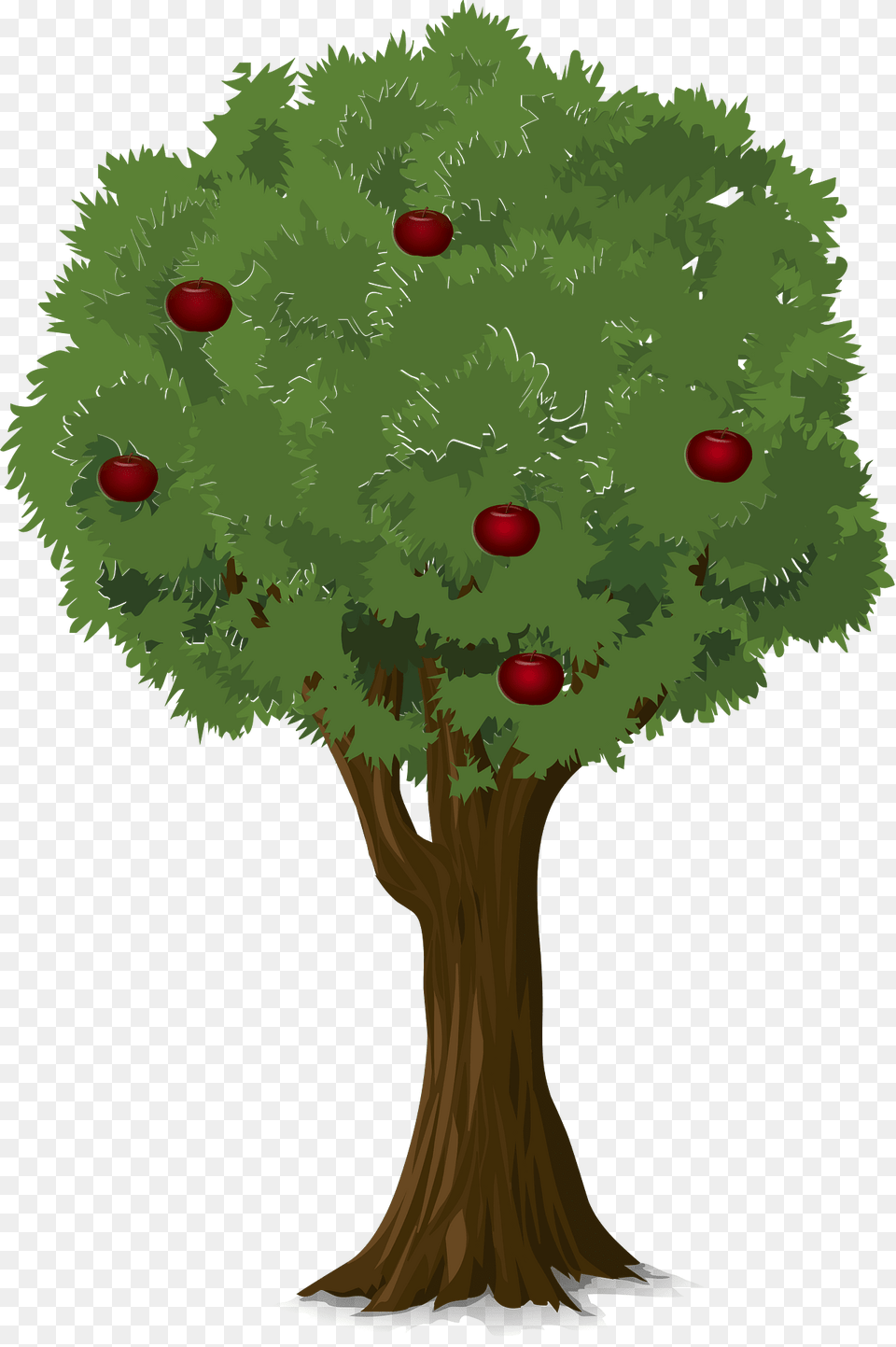 Tree Clipart, Plant, Vegetation, Conifer, Art Png Image