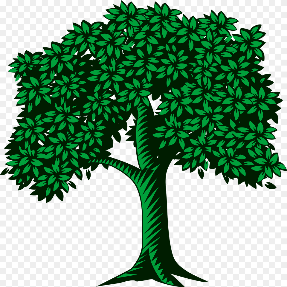 Tree Clipart, Green, Vegetation, Plant, Sycamore Png Image