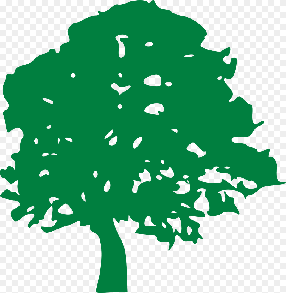 Tree Clipart, Flower, Plant, Oak, Sycamore Free Transparent Png