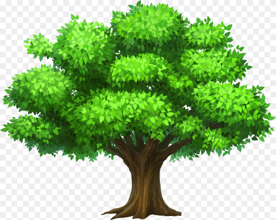 Tree Clipart, Plant, Green, Vegetation, Potted Plant Free Png
