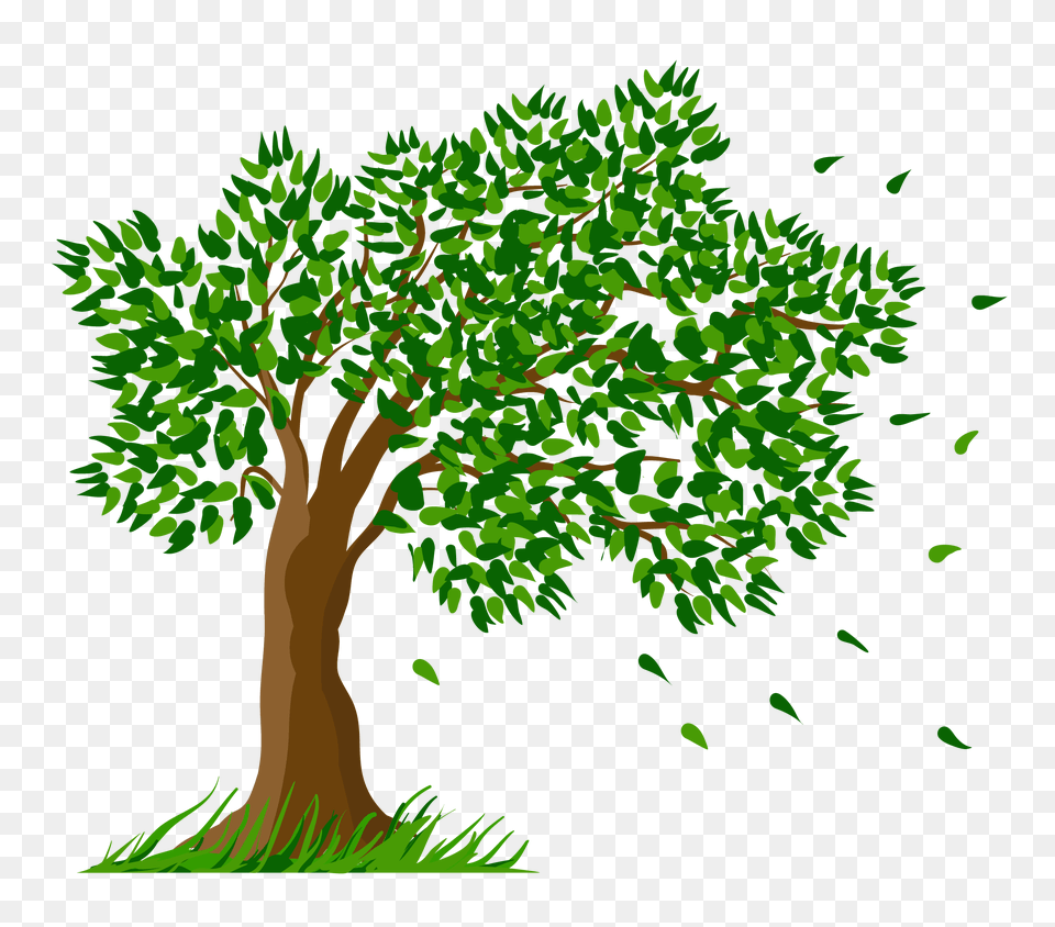 Tree Clipart Background Tree, Vegetation, Green, Tree Trunk, Oak Png Image