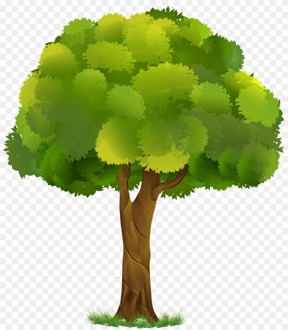 Tree Clipart Background Tree Clipart Background Png