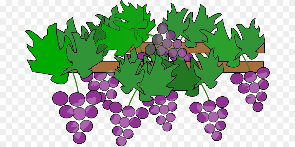 Tree Clipart Bunch, Food, Fruit, Grapes, Plant Free Png