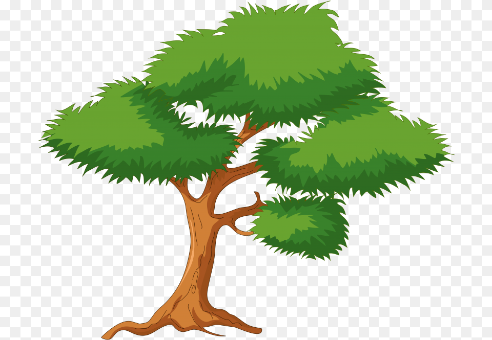 Tree Clipart Cartoon Download Cartoon Tree, Plant, Potted Plant, Conifer, Vegetation Png Image