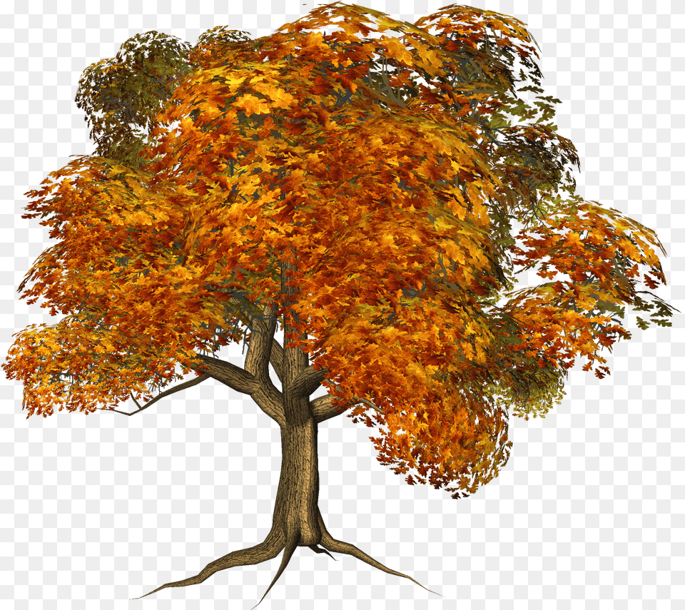 Tree Clipart Clipart Background Background Autumn Tree Free Png