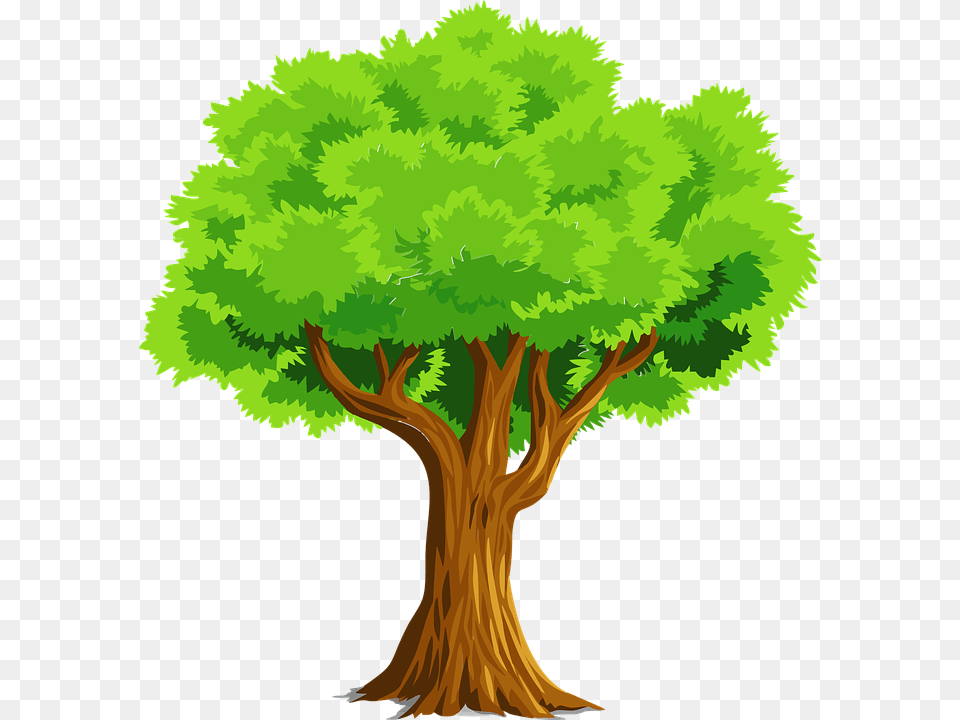 Tree Clipart Clipart Fruitful Tree, Plant, Vegetation, Conifer, Person Free Transparent Png