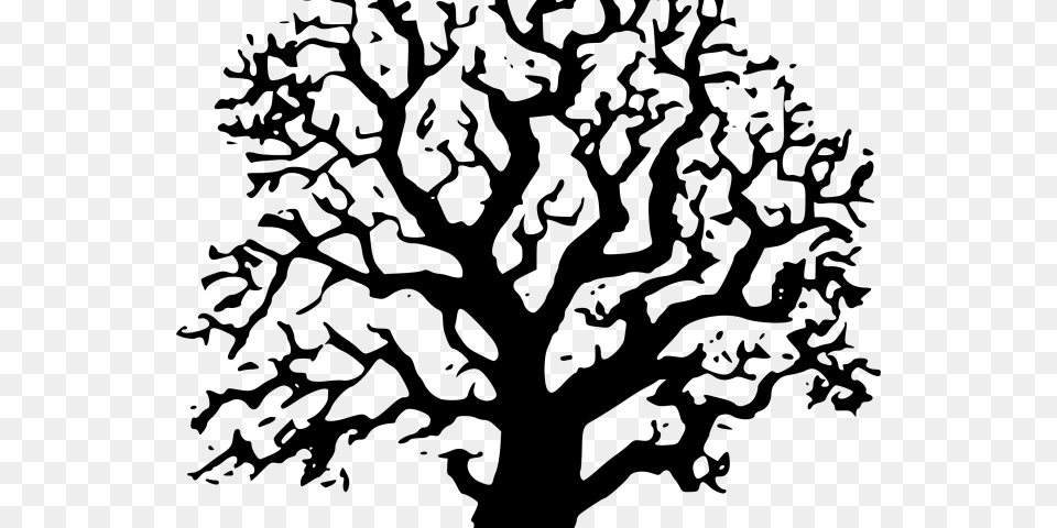 Tree Clipart Clipart Tree Drawing Black And White Tree Clipart, Gray Png Image