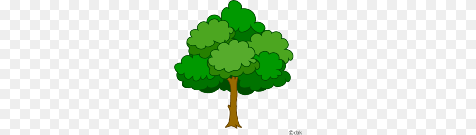 Tree Clipart Drawing Tree Oak Dark Tree, Green, Plant, Vegetation, Sycamore Png