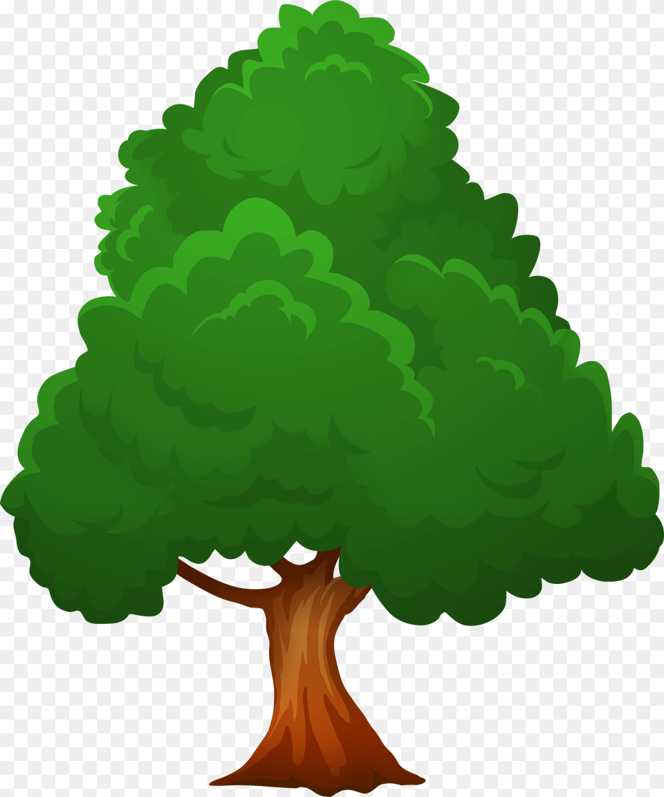 Tree Clipart Images Cartoon Transparent Background, Green, Plant, Conifer, Vegetation Png