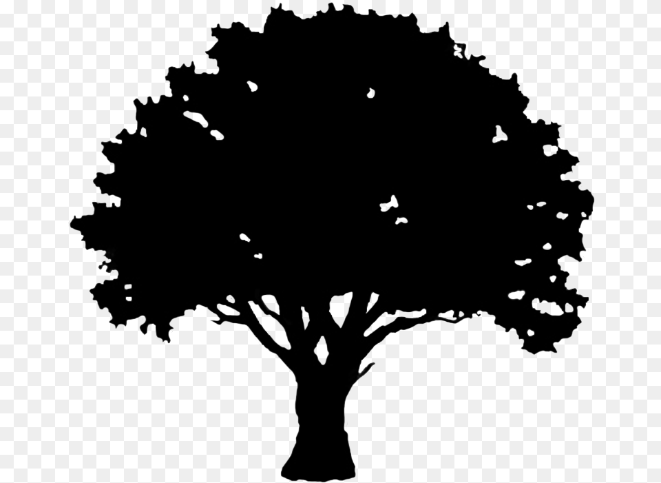 Tree Clipart Silhouette Image Black And White Silhouette Silhouette Black Tree Vector, Plant, Art, Drawing, Blackboard Png