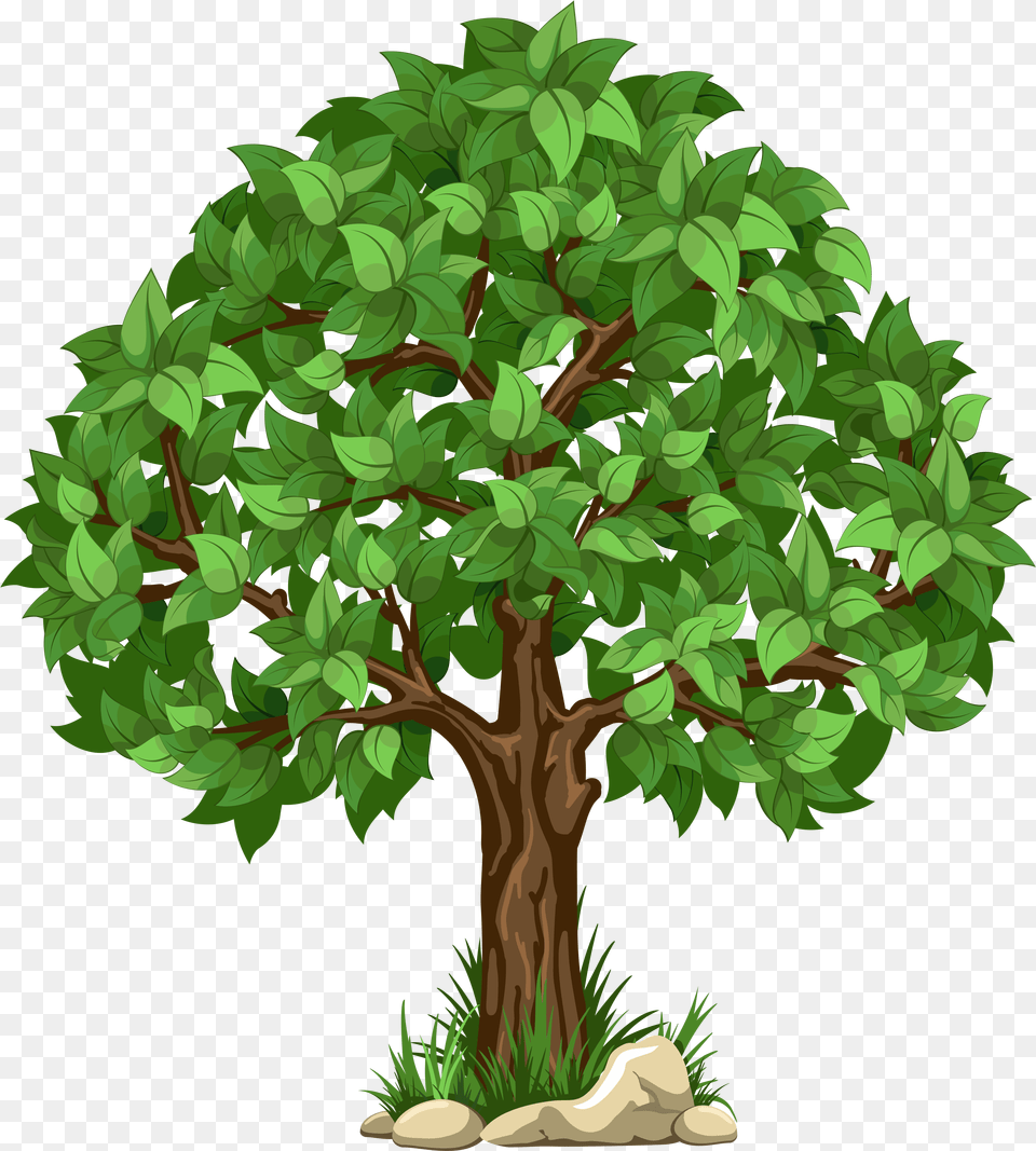 Tree Clipart Transparent Background Clip Art, Green, Oak, Plant, Potted Plant Png Image