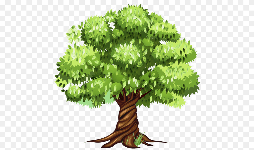 Tree Clipart Tree Patterns Flowering Trees Cartoon Tree Clipart, Plant, Potted Plant, Oak, Sycamore Png Image