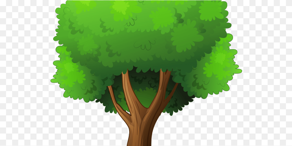 Tree Clipart Tress Tree Clipart No Background Clipart Tree Background, Green, Plant, Vegetation, Woodland Png Image
