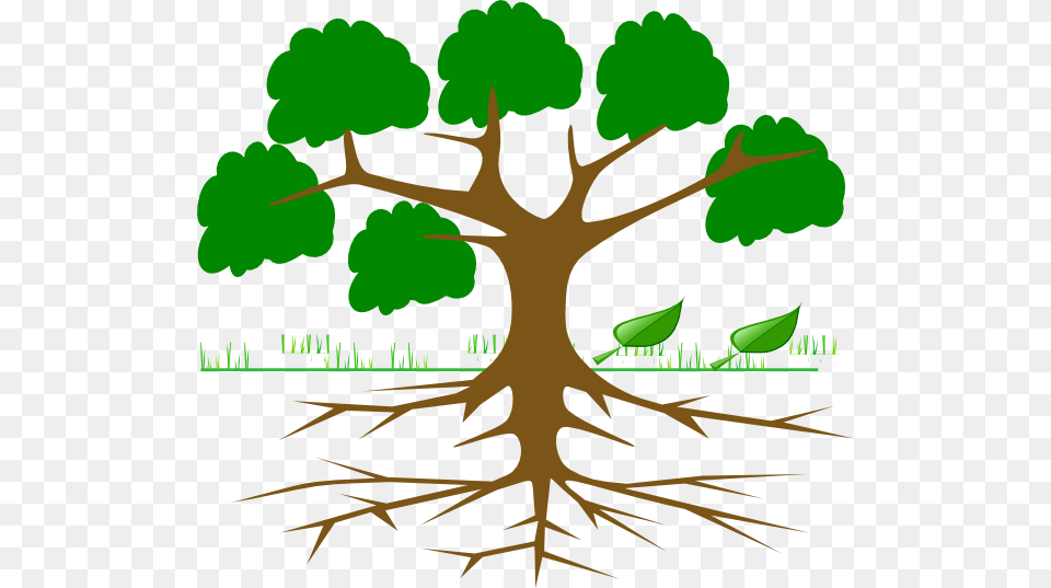 Tree Clipart With Roots Imagenes De Arboles Con Ramas, Leaf, Plant, Root, Vegetation Free Png