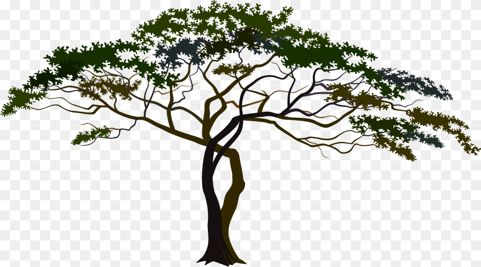 Tree Clipart With Transparent Background Graphic Transparent African Tree Clipart, Plant, Art, Drawing, Outdoors Free Png