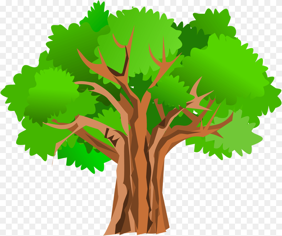 Tree Cliparts Clip Art Oak Tree Clipart, Plant, Tree Trunk, Sycamore, Vegetation Png Image