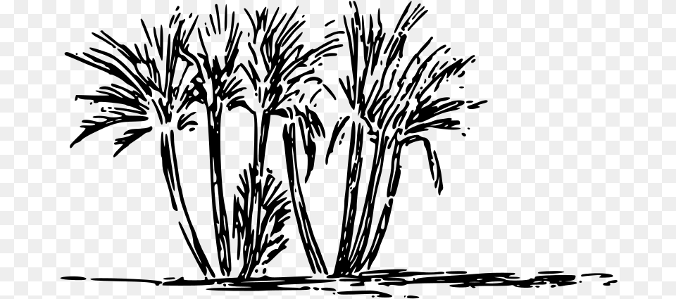 Tree Clump Clipart Icon Transparent Clipart White And Black Grass, Gray Png Image