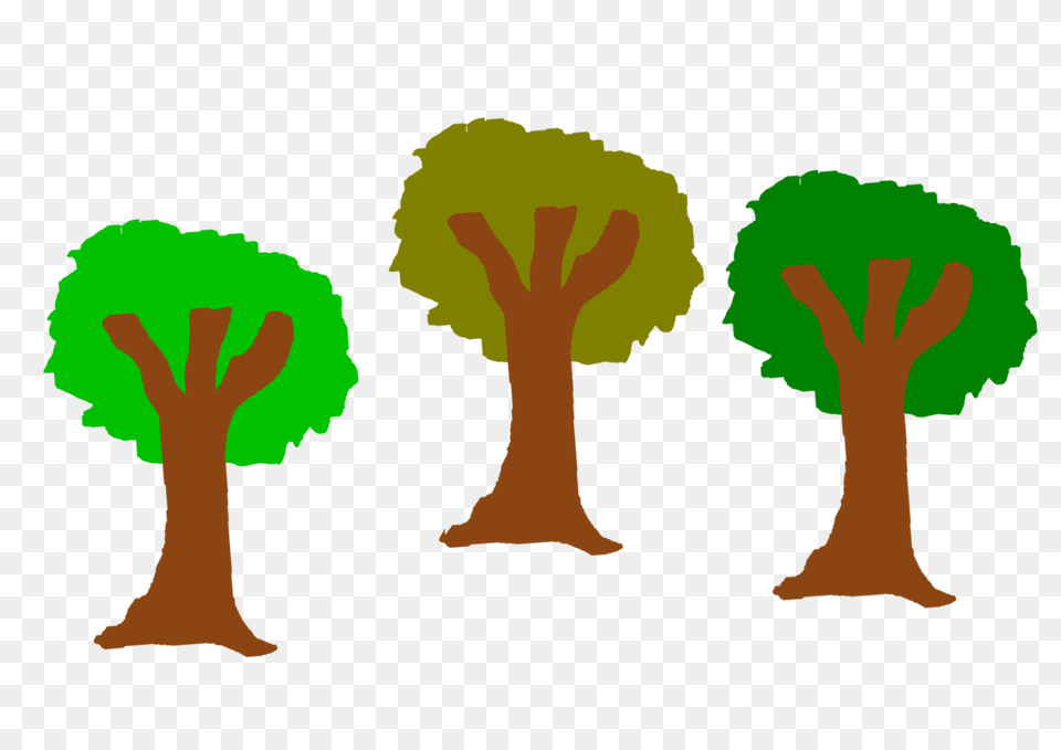 Tree Computer Icons Can Stock Photo, Plant, Person, Vegetation Free Png