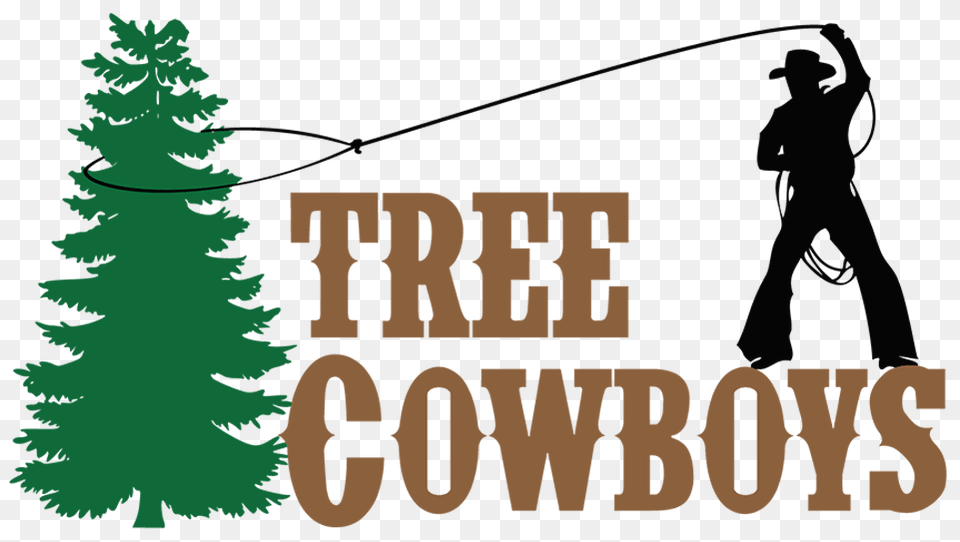 Tree Cowboys Tree Removal And Emergency Tree Service, Plant, Person, Pine, Fir Png