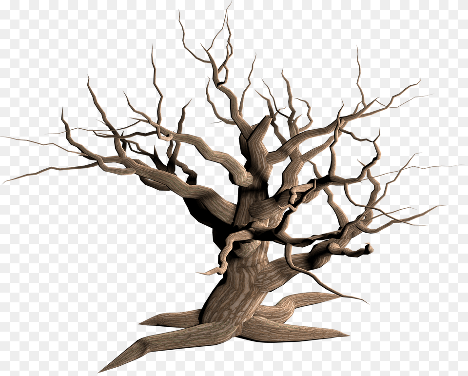 Tree Dead Branches, Plant, Wood, Tree Trunk, Art Png