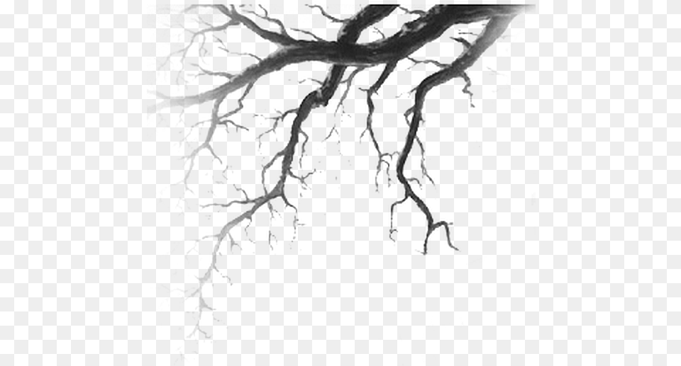 Tree Deadtree Forest Nature Branch Foreground Tree Drawing Horror, Gray Free Png Download