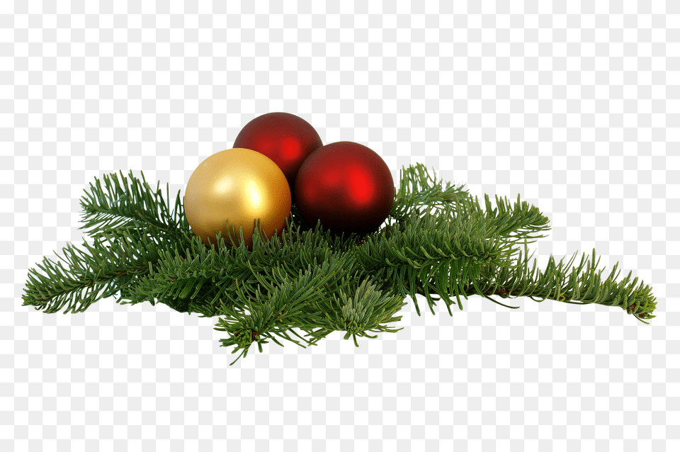 Tree Decorations Clip, Conifer, Plant, Fir, Sphere Free Png