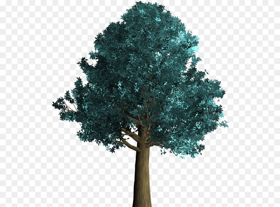 Tree Decorative Green Foliage Branch Tree, Oak, Plant, Tree Trunk, Sycamore Free Png Download