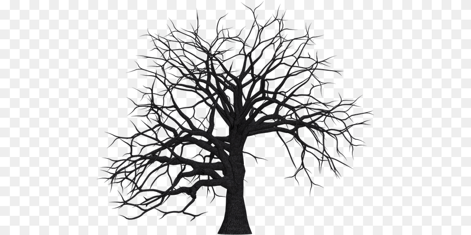 Tree Digital Art Isolated Without Leaves Leafless Dead Trees Clip Art, Nature, Outdoors, Plant, Weather Free Png