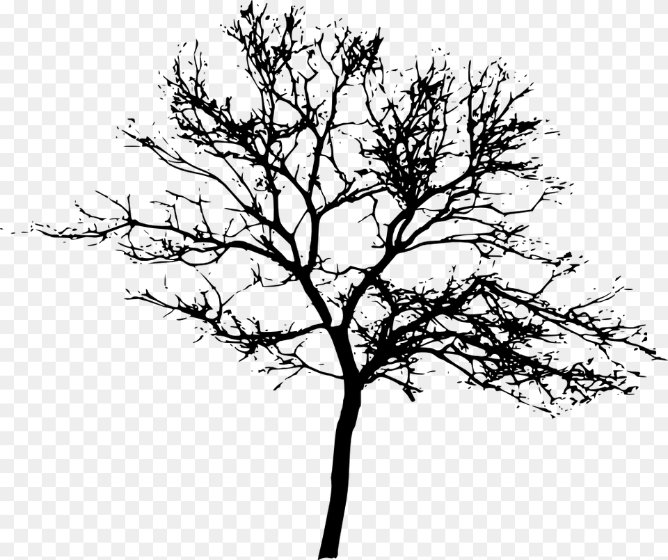Tree Display Resolution Clip Art Silhouette Trees Transparent Background, Plant, Drawing Free Png Download