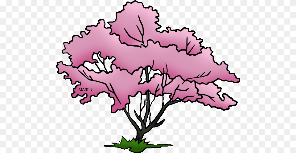Tree Dogwood Dogwood Tree Clip Art, Flower, Plant, Person, Cherry Blossom Free Transparent Png