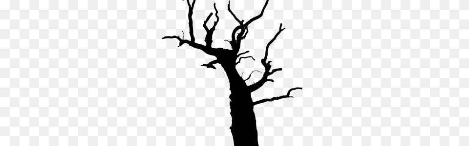 Tree Download, Gray Free Png