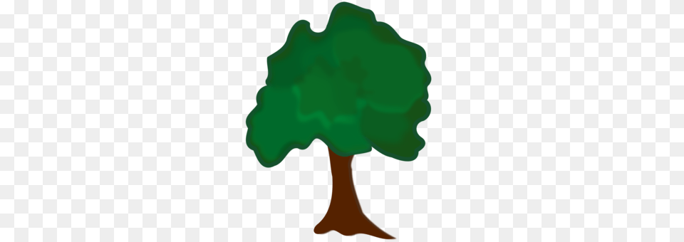 Tree Download Computer, Plant, Green, Person Png