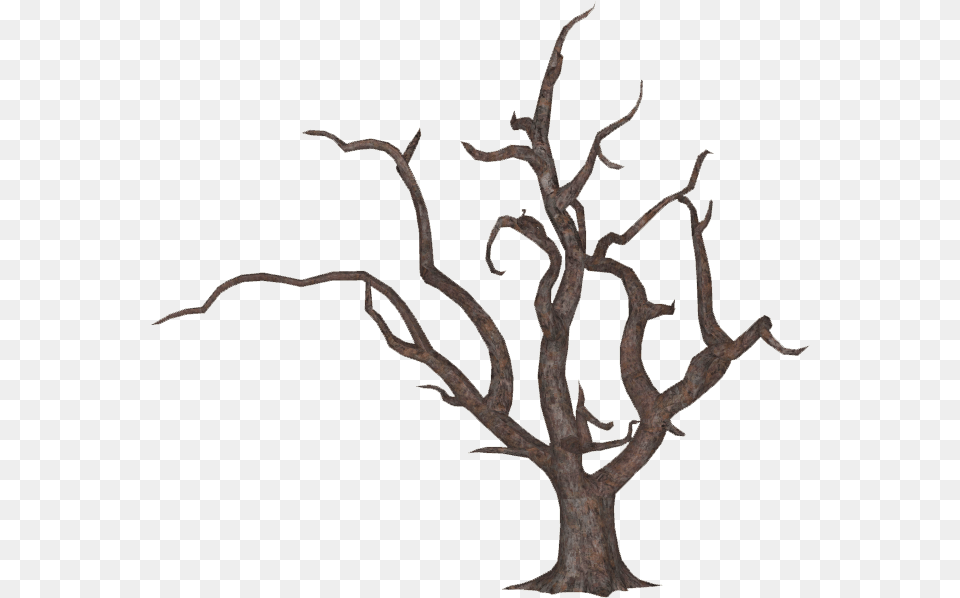 Tree Download Oak, Plant, Wood, Tree Trunk, Art Free Transparent Png