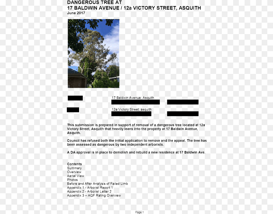 Tree Tree, File, Plant, Vegetation, Advertisement Free Png Download