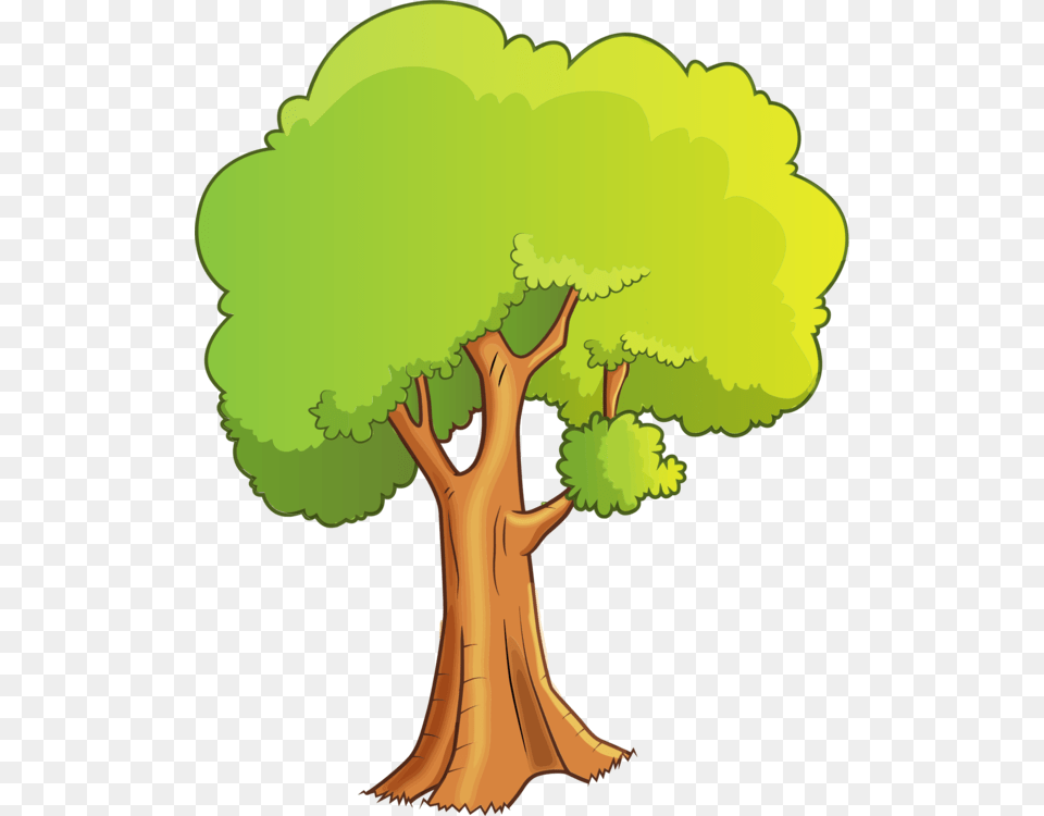 Tree Drawing Cartoon Watercolor Painting, Plant, Tree Trunk, Art, Vegetation Free Transparent Png