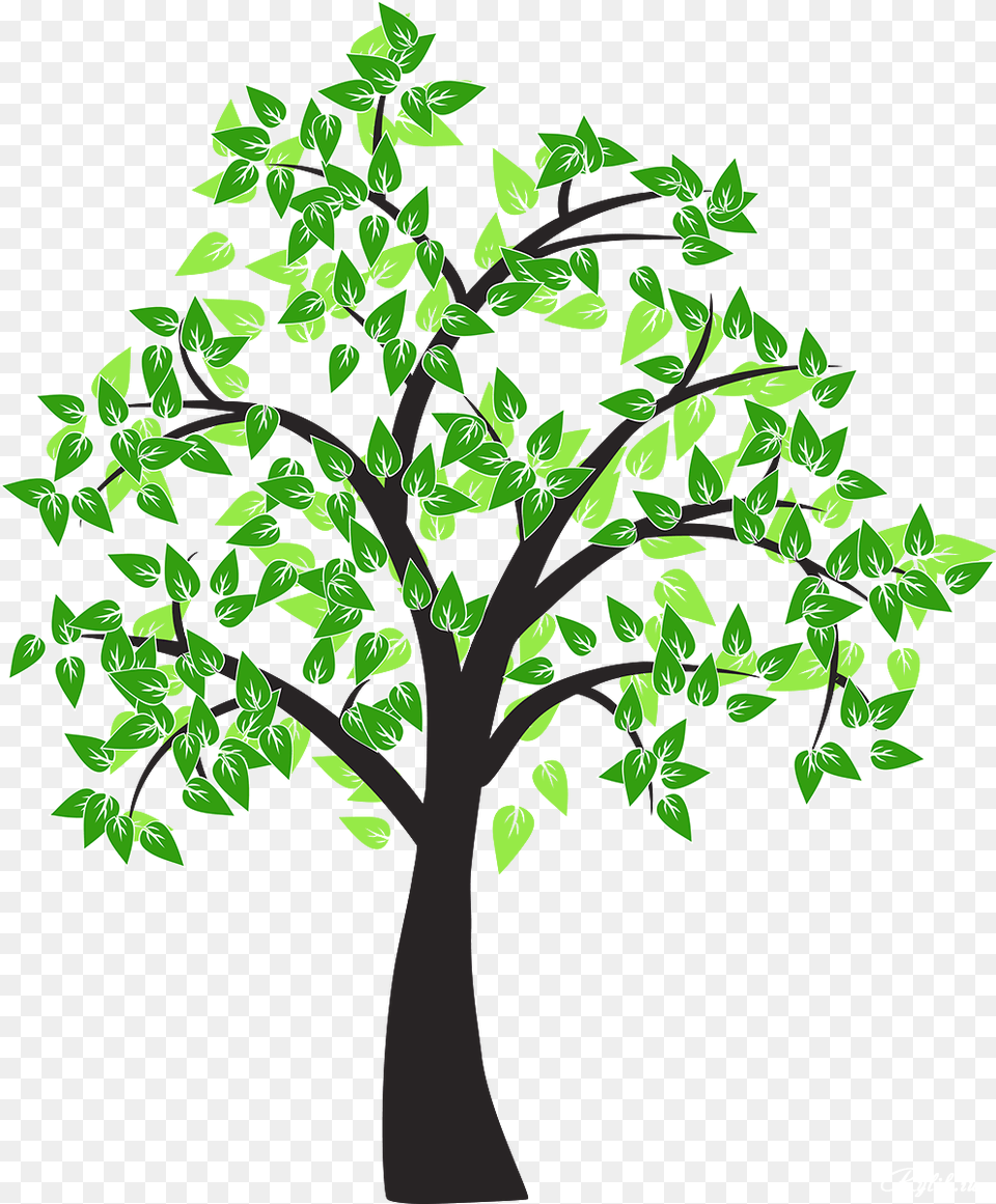 Tree Drawing Cottonwood Leaf Tree Drawing No Background, Green, Potted Plant, Plant, Oak Free Transparent Png