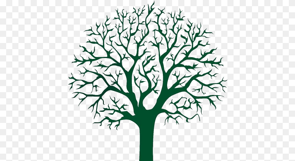 Tree Drawing Hd Stickers Vectors Fingerprint Sign Tree Template, Plant, Oak, Art, Potted Plant Png