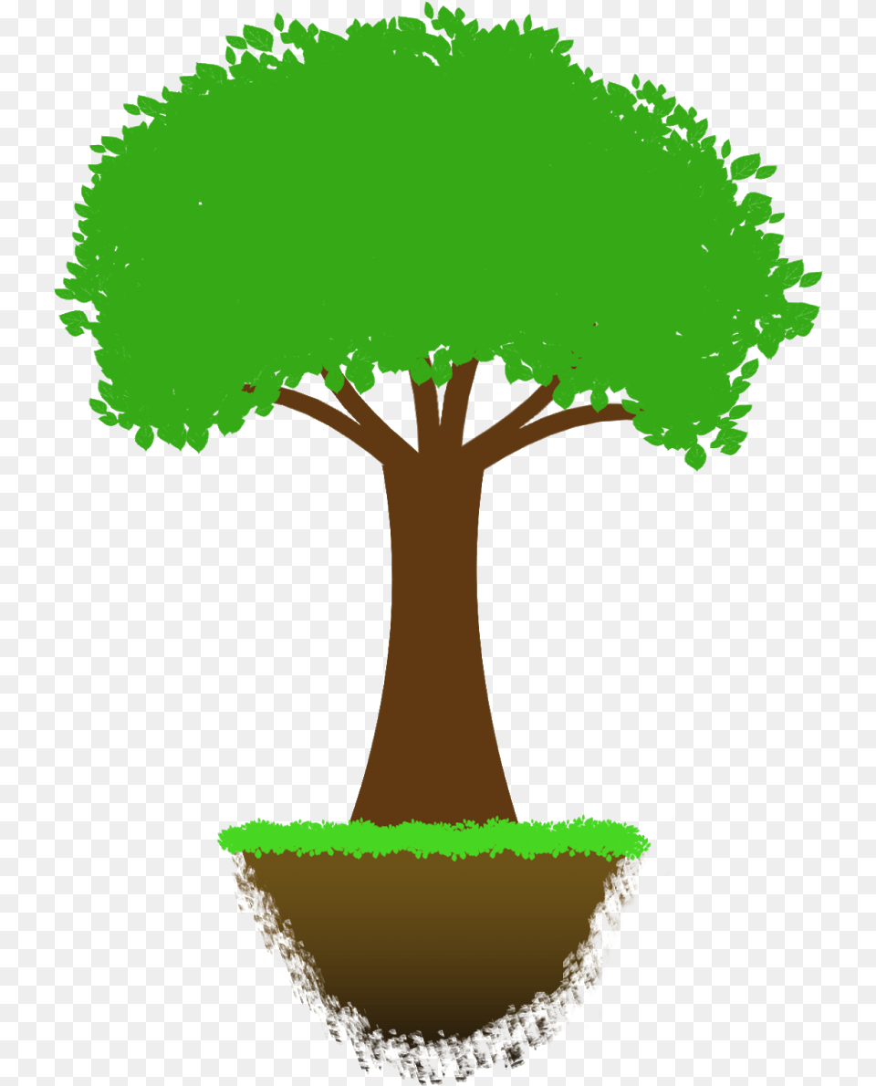 Tree Drawing Oak, Plant, Potted Plant, Tree Trunk, Vegetation Free Png Download