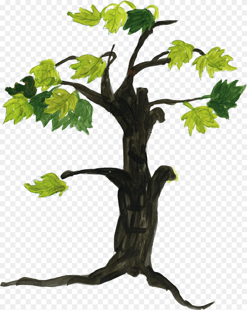 Tree Drawing Tree Drawing Background, Leaf, Oak, Plant, Sycamore Png Image