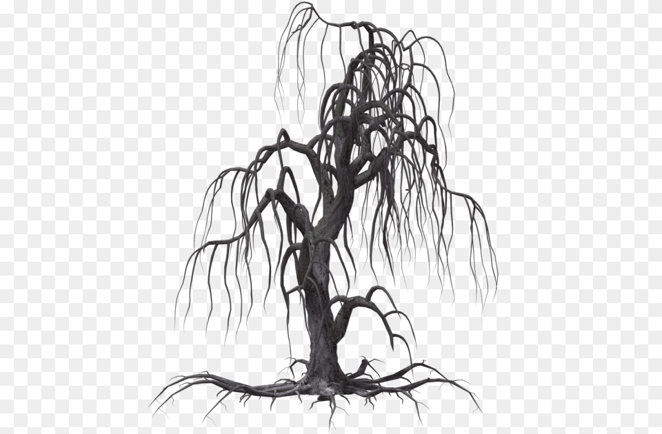 Tree Drawing Willow Clip Art Creepy Willow Tree Silhouette, Plant, Chandelier, Lamp Free Png Download