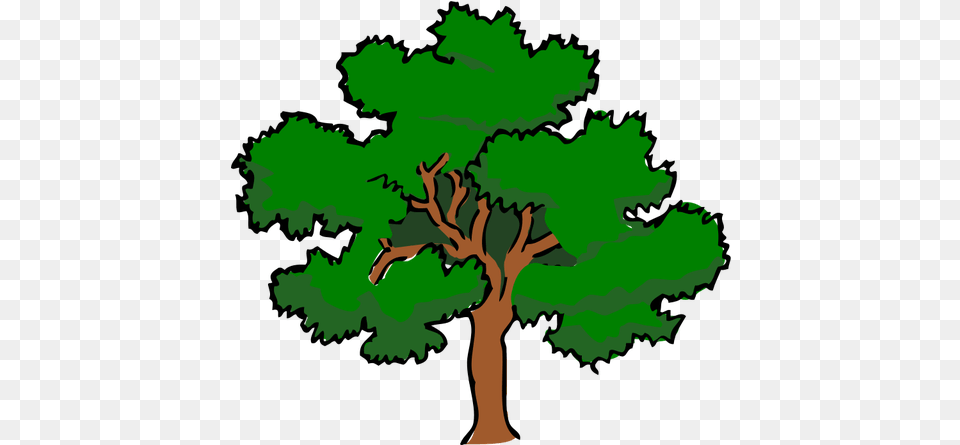 Tree Drawing With Color Transparent U2013 Prime Factor Tree Of, Oak, Plant, Sycamore, Green Free Png