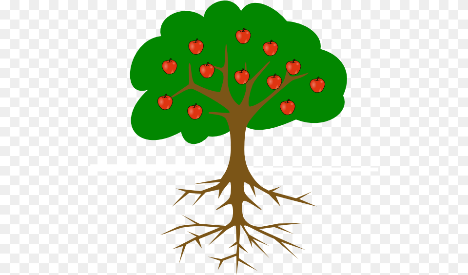 Tree Drawing With Fruits, Plant, Root, Potted Plant Free Transparent Png
